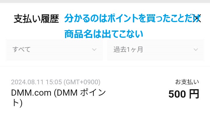 分かるのはDMMポイントを購入したことだけ